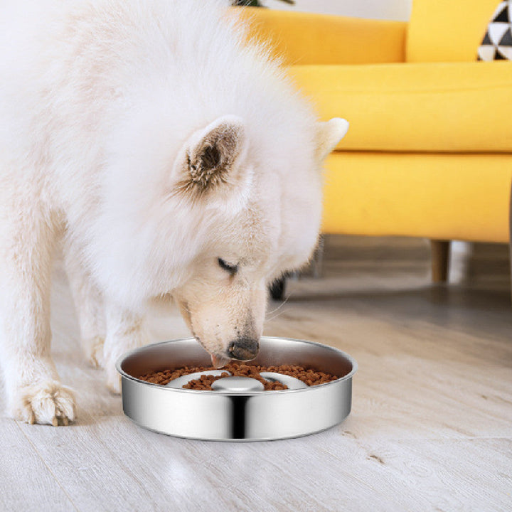 Discover the Perfect Slow Feeding Pet Bowl