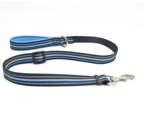 Enhancing Your Walks with the Assisted Retractable Nylon Pet Leash
